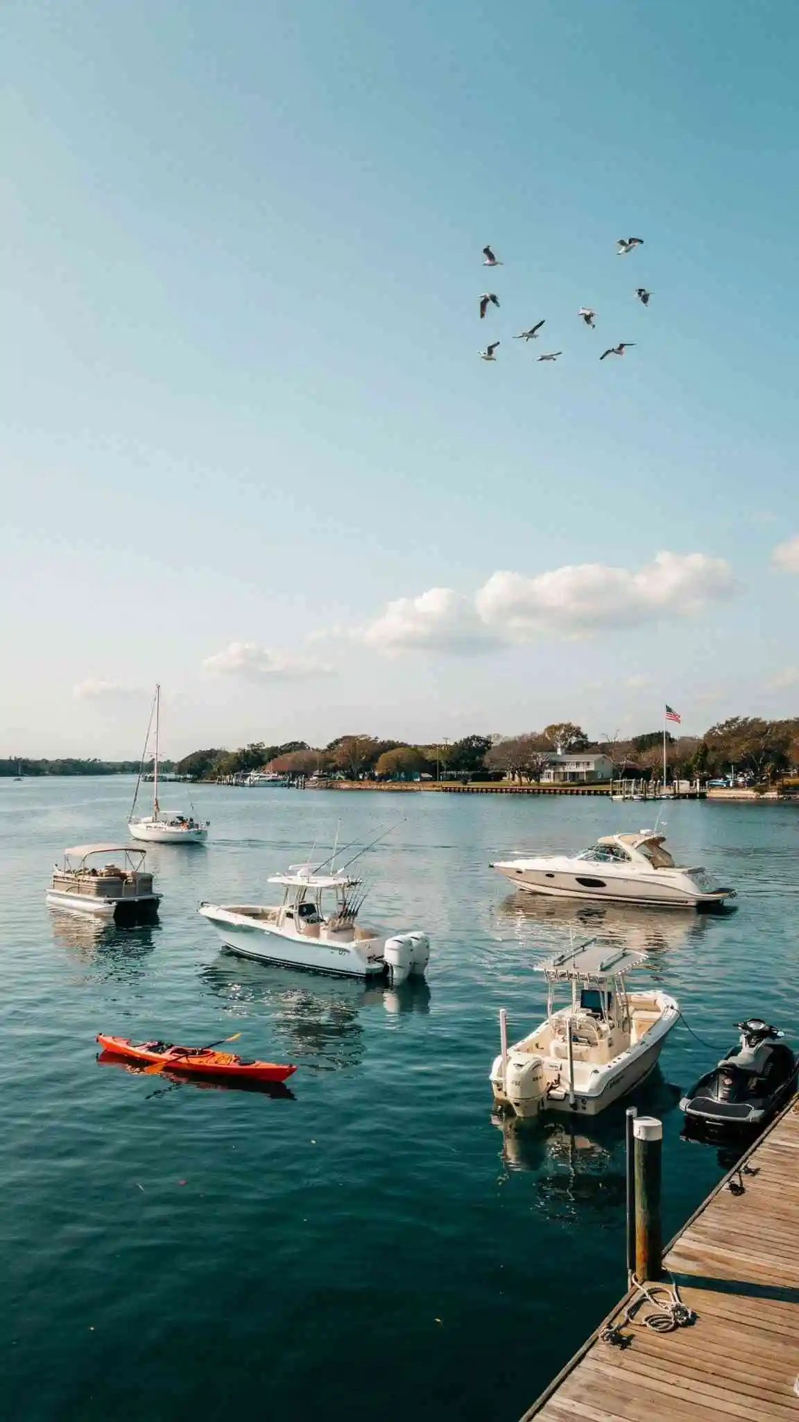 New vs Used Boat infographic comparing price, warranty, depreciation, maintenance, and resale value for buyers