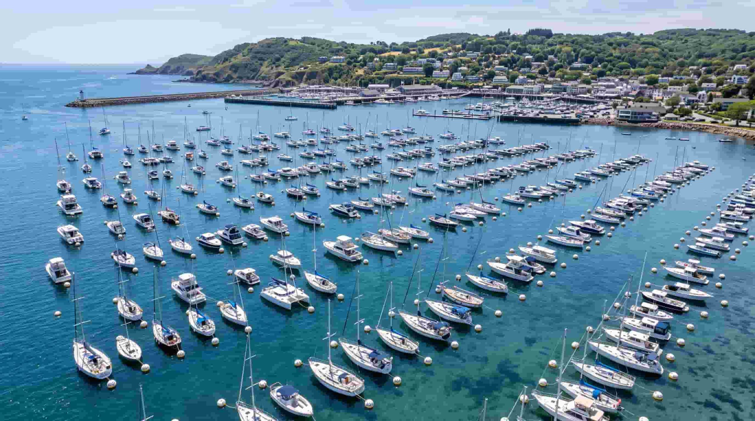 Boats secured to mooring buoys in a designated mooring field